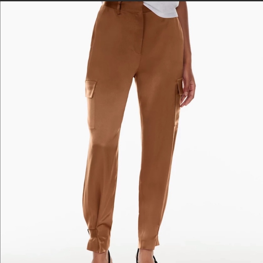 Aritzia Babaton Refined Cargo Pants